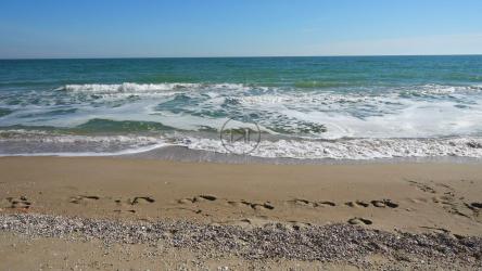 海岸边的脚印[]