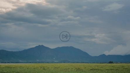一个阳光明媚的下午，大片自然平原的全景[免费商用]