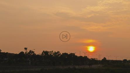 太阳落在一排树后[]