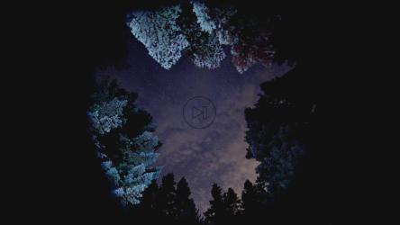 Time lapse of bright stars shooting above a winter forest[]