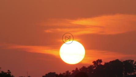 太阳落在一棵树后面[4K]