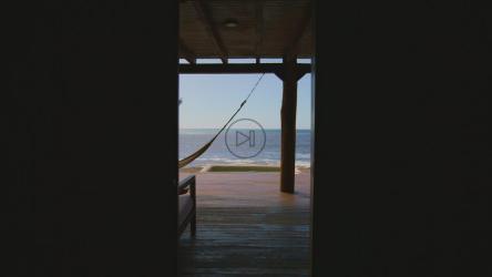 一对情侣在海滩上的浪漫时刻[免费商用]