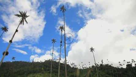 云层笼罩着大自然，视野开阔[]