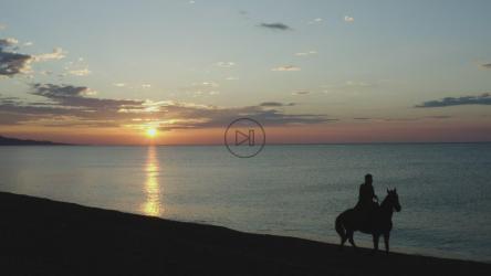 日落时，一名男子在海滩上骑马的剪影[]