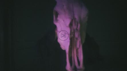 一个有着公牛头骨的人的抽象视频[免费商用]