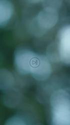 透过树叶看不清天空[免费商用竖屏]