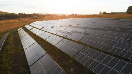 Aerial view of solar panels in a field at sunset[]