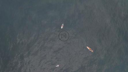 两个冲浪者在海洋中央[免费商用]