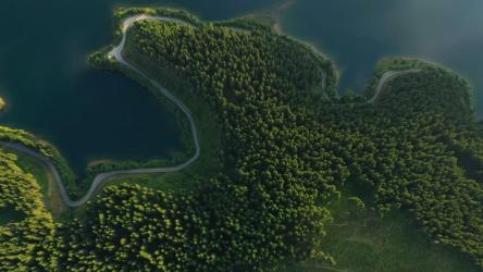 森林、湖泊和道路的鸟瞰图[4K]