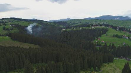 森林中的烟雾，航拍[4K]