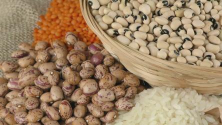 豆类概念，旋转镜头[]