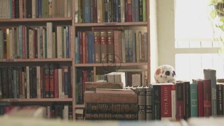 一位年轻女子在图书馆挑选一本书并打开它[免费商用]