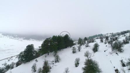 冬天从森林里看结冰的景色[]