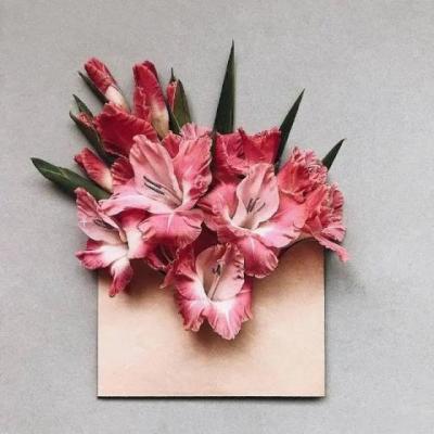 【唯美】出口不成章的古诗句子（形容话不投机的古诗）