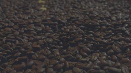 一个男人用手拿了很多咖啡豆[4K免费商用]