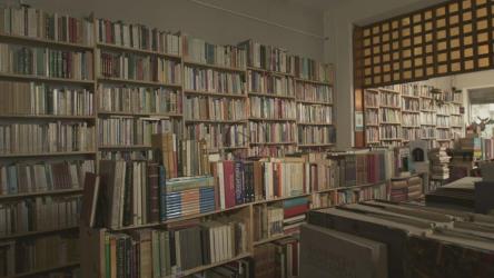 一位年轻的女学生在图书馆里找书[免费商用]