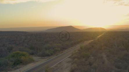 日落时干旱生态系统中的漫长道路[免费商用]