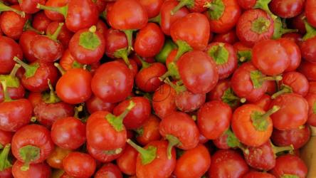 市场上的一堆西红柿[]