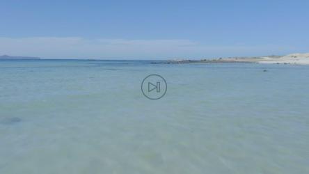 在海岸的水中低速飞行[免费商用]