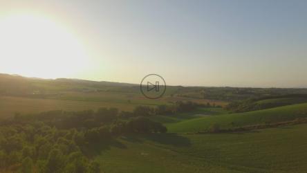 阳光明媚的乡村农田鸟瞰图[4K]