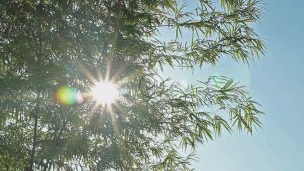 镜头在阳光下闪耀[]