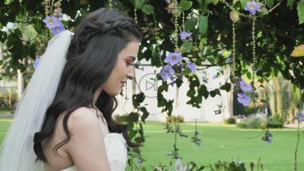 新婚夫妇[免费商用]