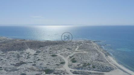 从海岸俯瞰大海到地平线[免费商用]