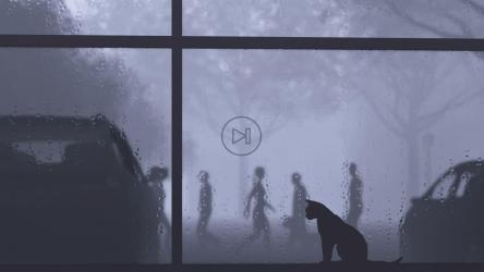 外面下雨时，猫在窗边[]