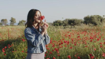 日落时分，女孩在田里摘罂粟花[]