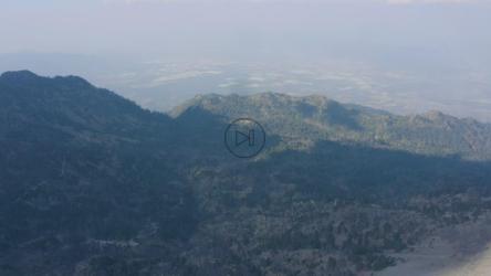 被阴影覆盖的森林鸟瞰图[免费商用]