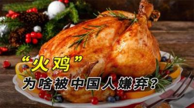 美国火鸡数量超700万，个大肉美备受西方追捧，为何国人很少吃？