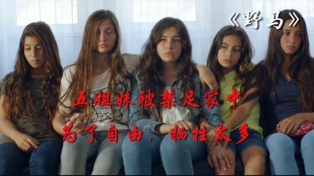 五姐妹被禁足家中，为了自由，牺牲太多。电影解说《野马》