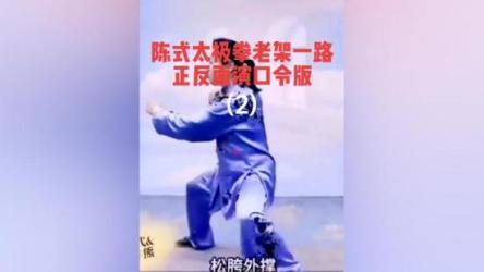 太极拳·养生·视频教学