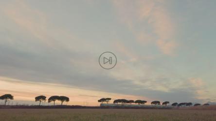 在一个美丽的下午，一列客运列车正从田野旁驶过[]