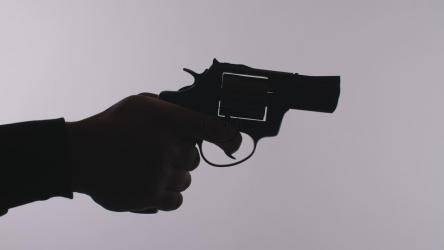 一只手发射左轮手枪的剪影[]