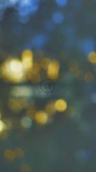 许多小灯在夜间失焦[免费商用竖屏]