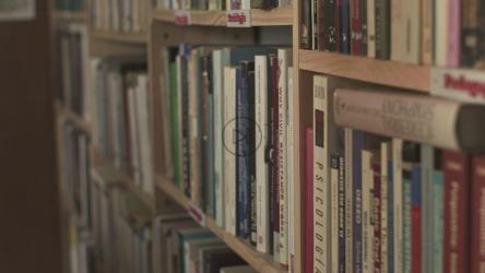 一位年轻的女学生从图书馆的书架上挑选一本书[免费商用]