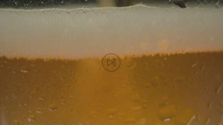 玻璃杯中啤酒的质地[免费商用]