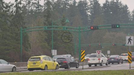 松林中高速公路上的交通堵塞[4K免费商用]