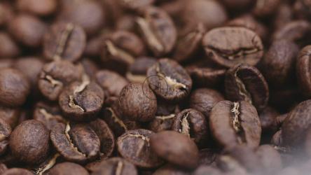 烘焙咖啡豆移动的宏观镜头[免费商用]