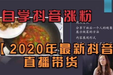 海外版抖音短视频直播带货（19节课）