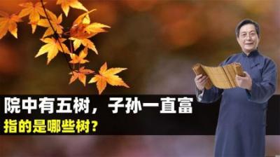 老人常说“院中有五树，子孙一直富”，说的都是哪些树？