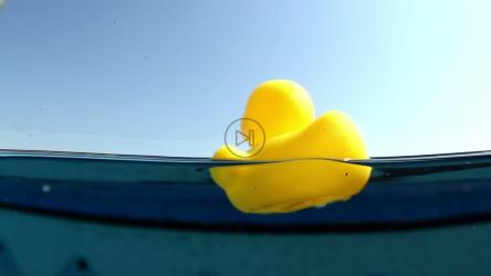 水中的黄色橡皮鸭[免费商用]