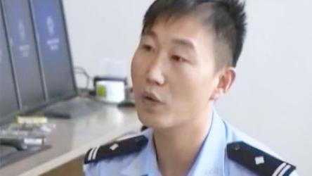 11月14日破解软件分享手机端和电脑端