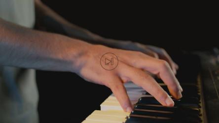 熟练的钢琴家弹奏键盘的双手[免费商用]