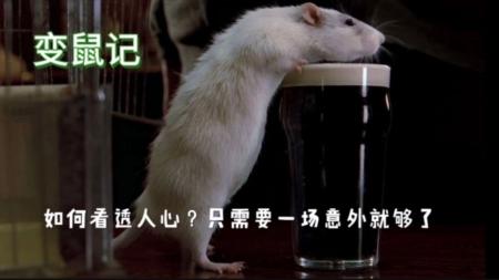 《变鼠记》男子醉酒后，意外变成一只老鼠，到底经历了什么？