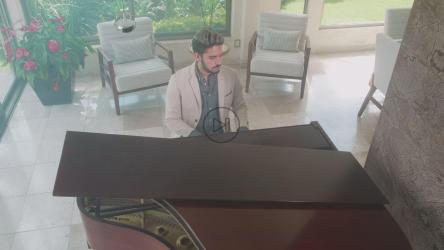 优雅的钢琴家在家演奏[4K免费商用]