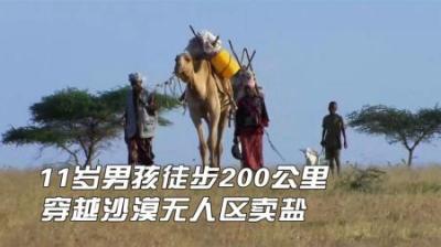 埃塞俄比亚部落的盐商，11岁男孩步行200公里穿越沙漠去卖盐