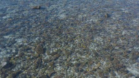 清澈的海水在岩石海岸线上流动[免费商用]