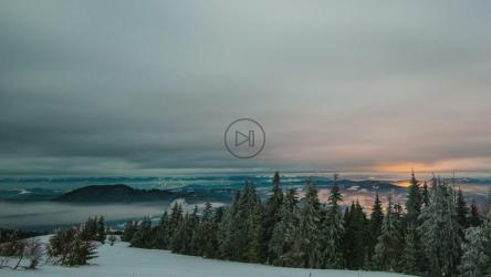 冬季森林中的薄雾风暴[4K]